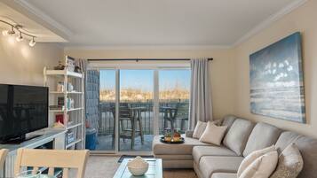 Télévision, lecteur de DVD, livres, chaßne hi-fi