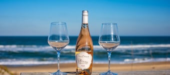 Your Very Own Writer's Retreat Awaits You! Directly on Ocean & Well Stocked!