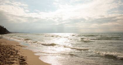 Beach days in Douglas MI