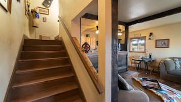 智能电视、壁炉、DVD 播放器、书