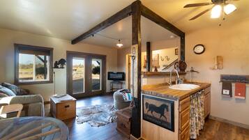 Smart TV, fireplace, DVD player, books