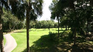 A golf course with a well-maintained green, a curved path, and surrounding trees.