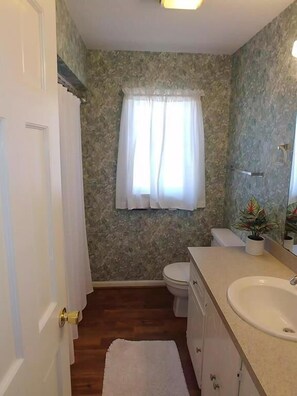 A bathroom with a toilet, sink, and shower area. - Neutral Ground (Edisto Island)