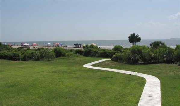 A grassy area with a winding path leading to a beach with umbrellas and people. - Brainwaves (Edisto Island)