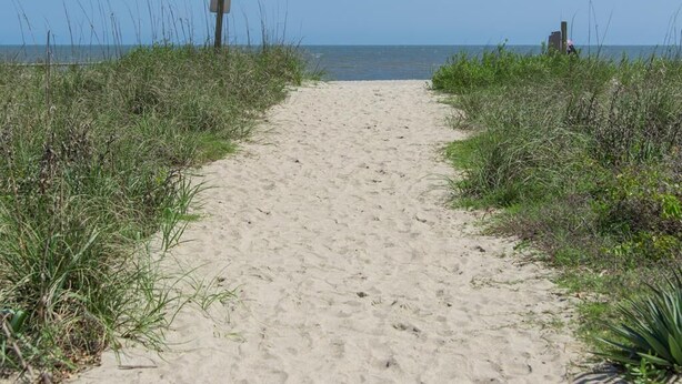 A sandy beach path with grass on either side, leading to the ocean. - Just Sew (Edisto Island)