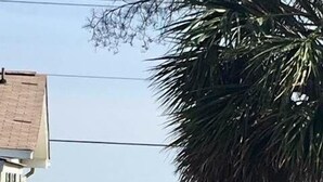 A red pickup truck parked on a street with a beach and ocean in the background. - Petty House (Edisto Island)
