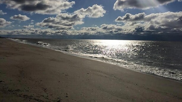 A beach with a clear sky and sunlight reflecting on the water. - Rooney Bin (Edisto Island)