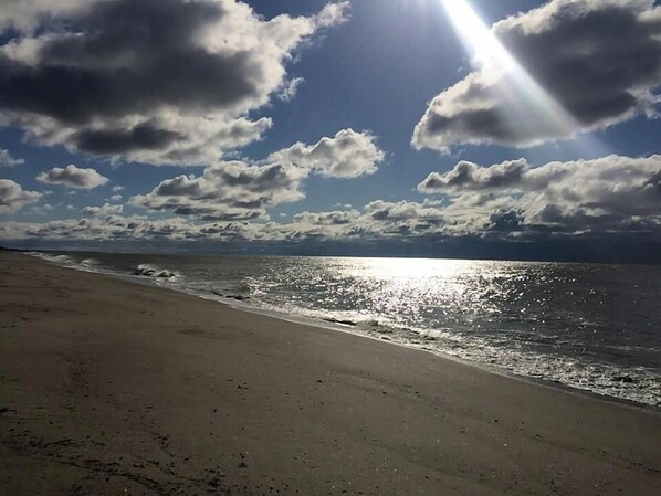 House, Multiple Beds (Rooney Bin) | Beach