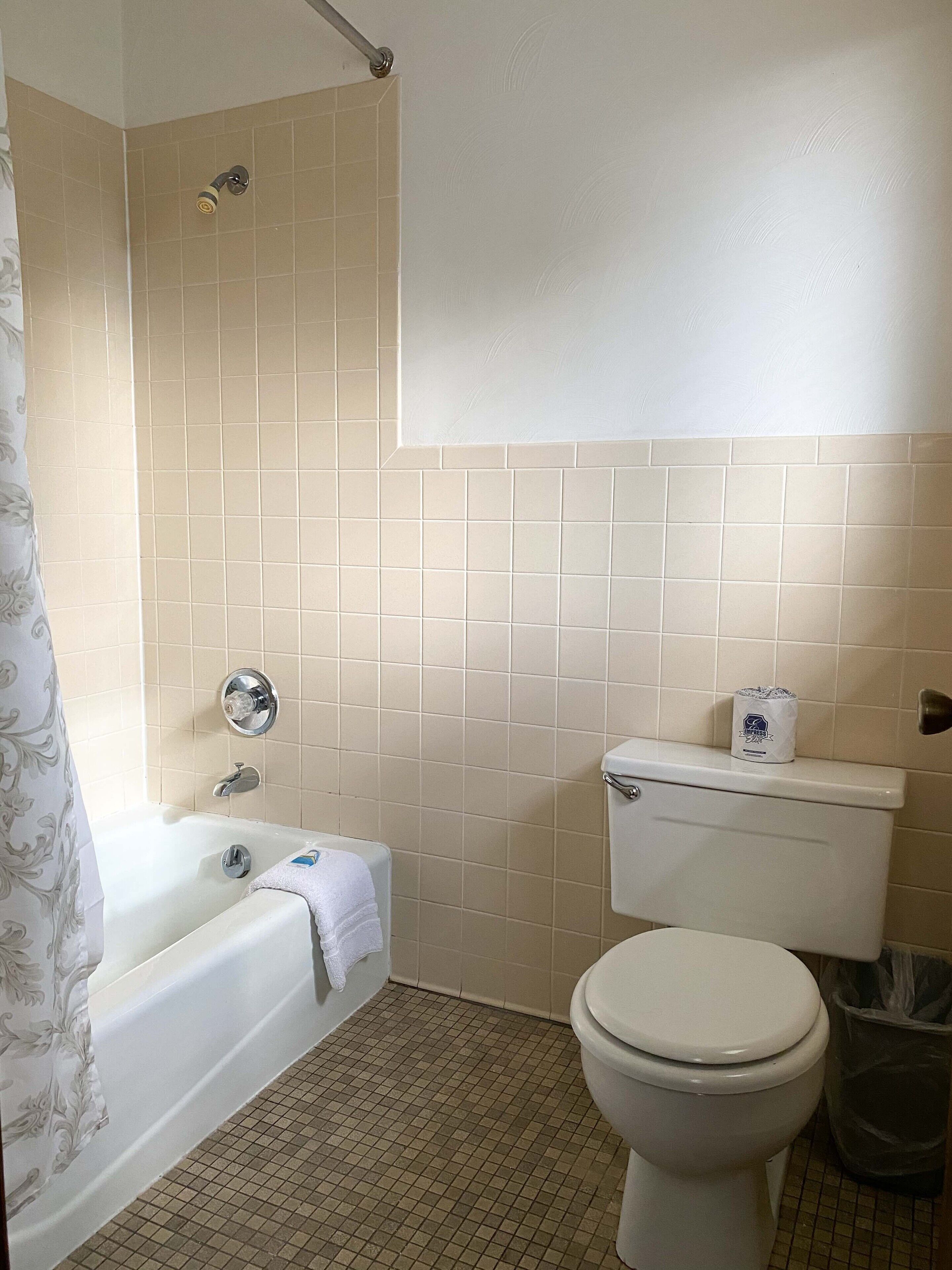 Ein Badezimmer mit Badewanne, Toilette und Dusche.