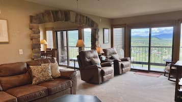 Smart TV, fireplace, DVD player, books