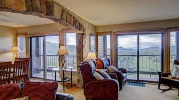 Smart TV, fireplace, DVD player, books