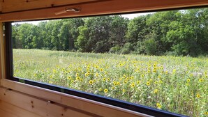 A window with a view of a field of sunflowers and trees.