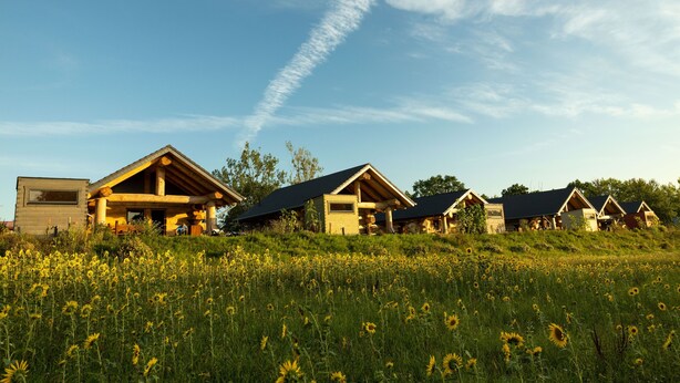 A row of log cabins with a grassy field in front, under a clear sky.