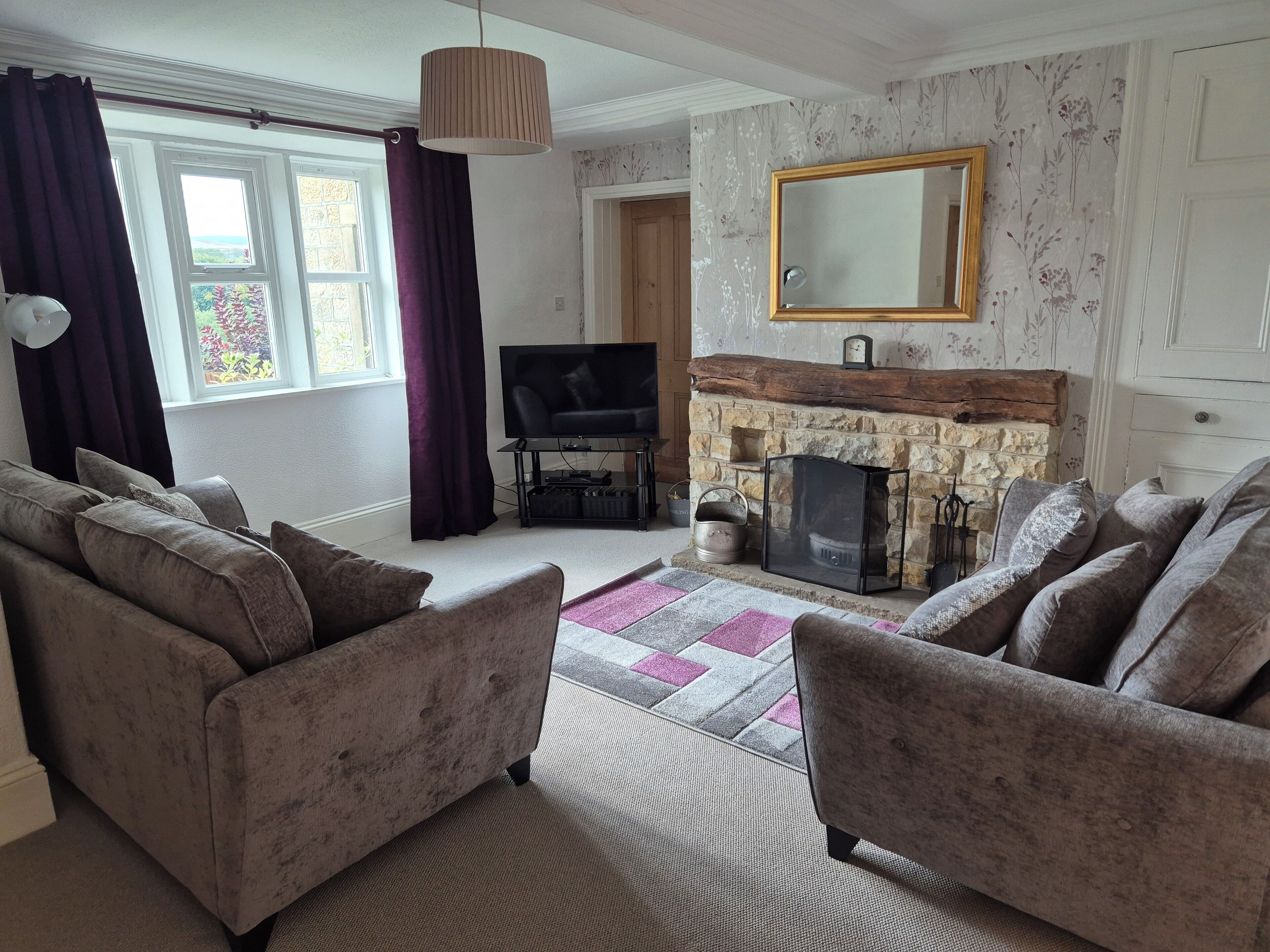 Smart TV, fireplace, DVD player, books