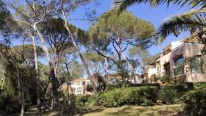 A residential area with a house surrounded by trees and a well-maintained garden. - T2 Golf Valescure, swimming pool, tennis & private garden (Saint-Raphaël)