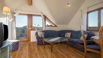 Fernseher, Stereoanlage