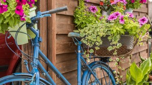 En blå cykel med en kurv fyldt med blomster, parkeret op ad en trævæg.