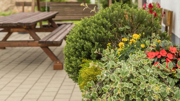En terrasse med et træbord og bænke, omgivet af forskellige planter og blomster.