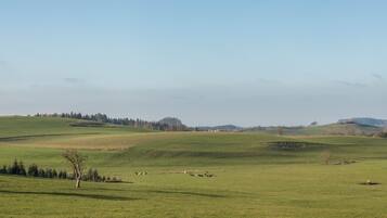 Een landelijk landschap met glooiende heuvels, een enkele boom en een paar koeien die grazen.