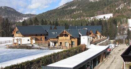 Weihnachten / Silvester im Chalet in Grundlsee
