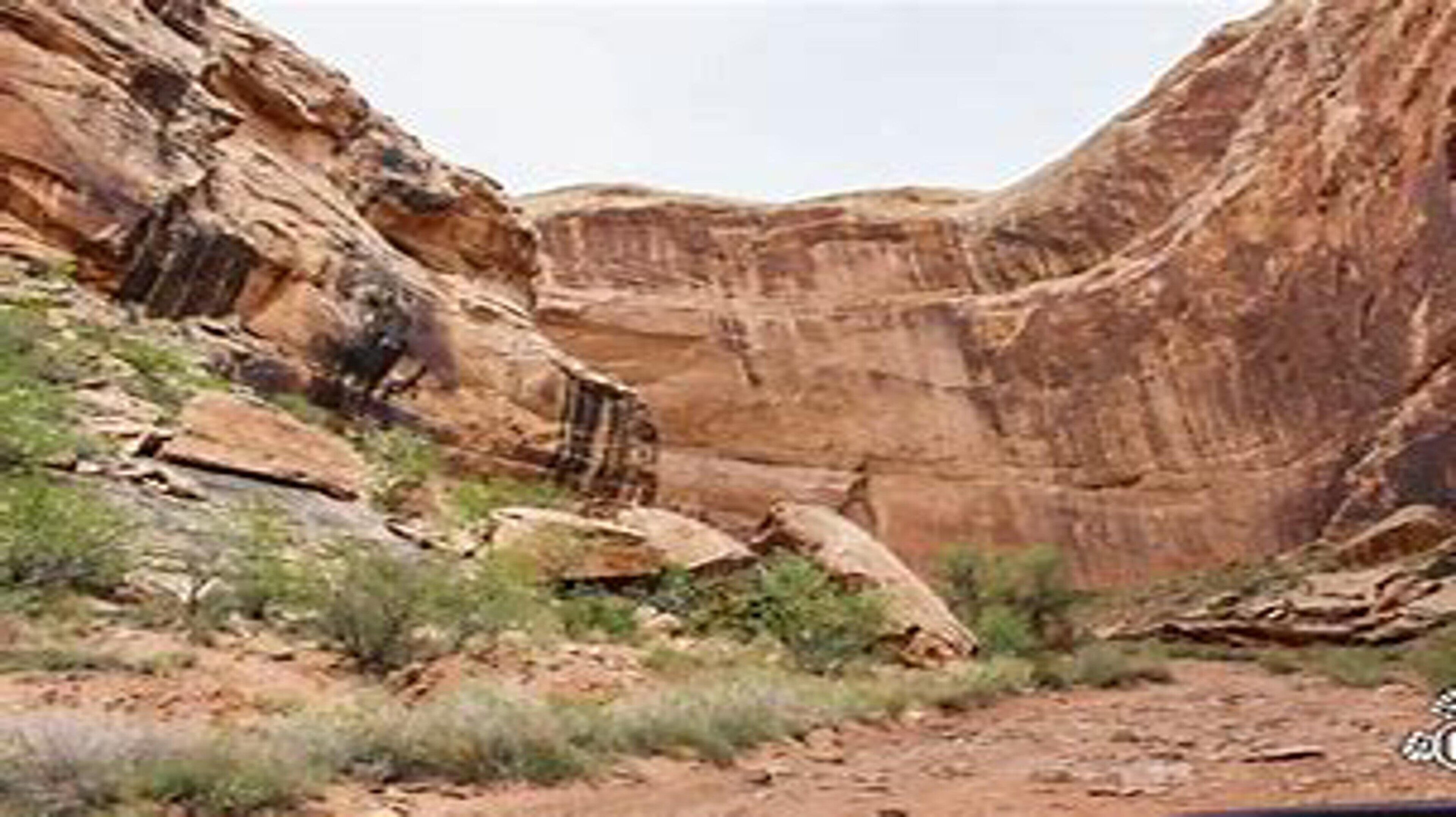Un canyon con terreno roccioso e vegetazione scarsa.