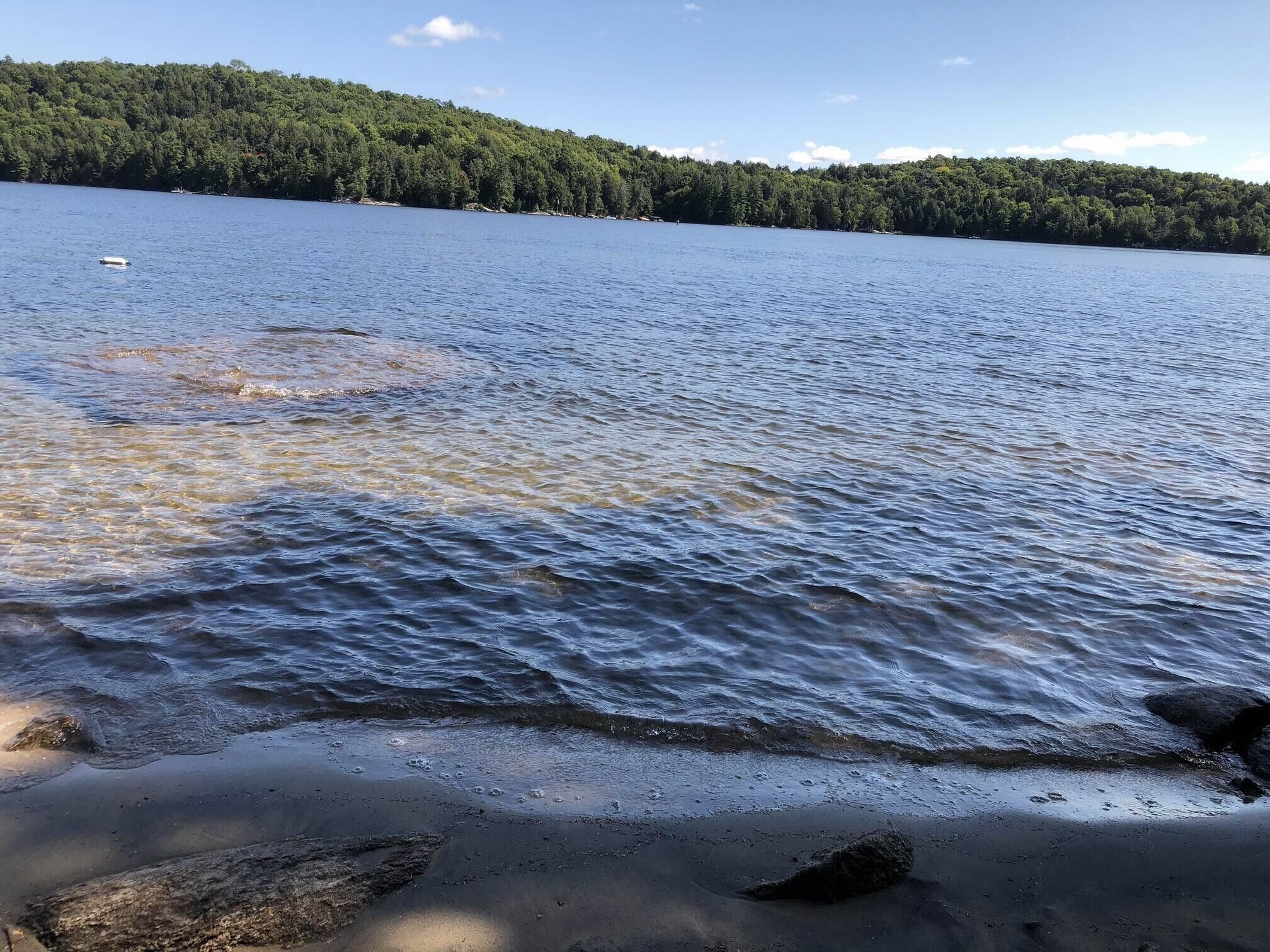 Am Strand, Liegestühle, Strandtücher