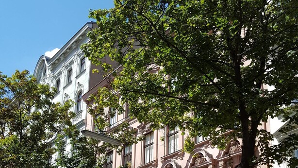 A historic building with ornate architecture, parked cars, and a tree in front.