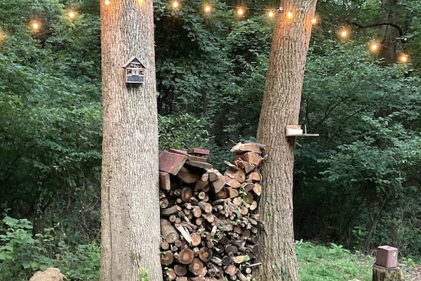 Área da propriedade