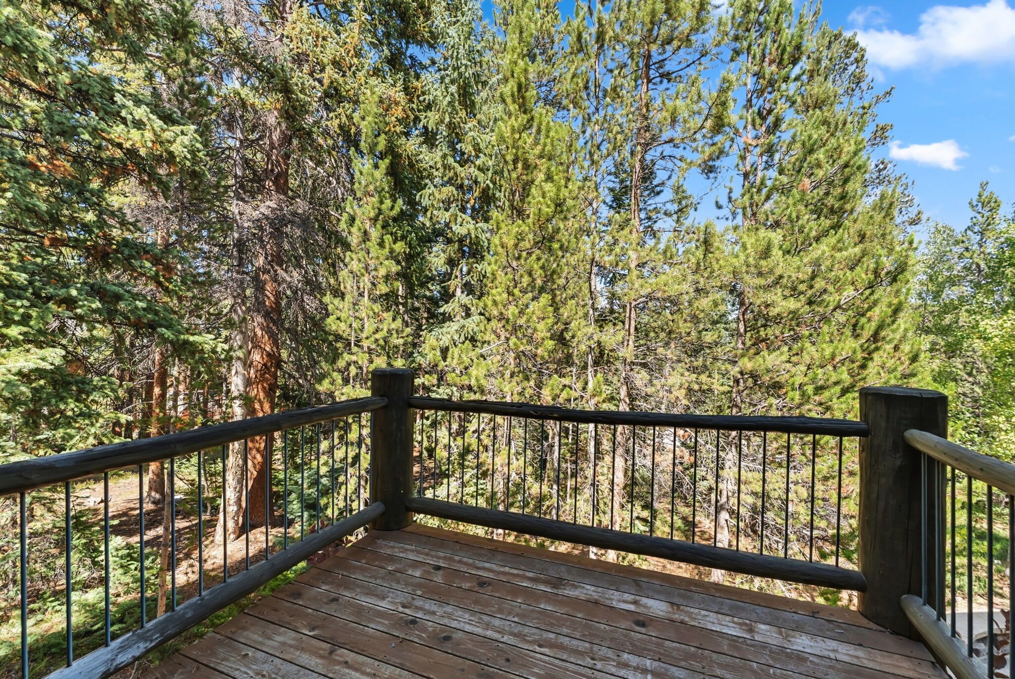 Une terrasse en bois avec des rampes en métal, donnant sur une zone boisée.