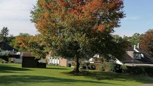 A large tree with autumn foliage in a residential area. - Hotel Haus Hildegard (Niederkruechten)