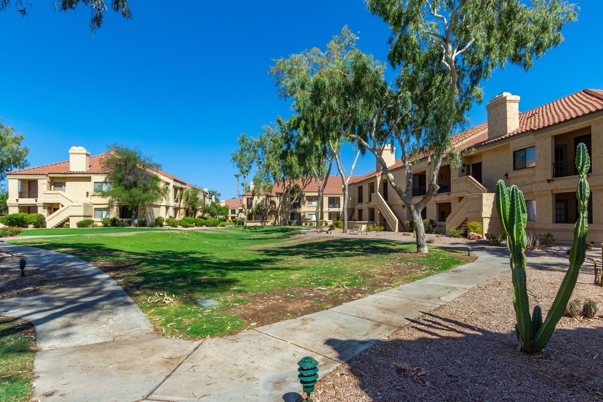 Un quartier résidentiel composé de plusieurs maisons à deux étages, avec une pelouse bien entretenue et un cactus au premier plan.