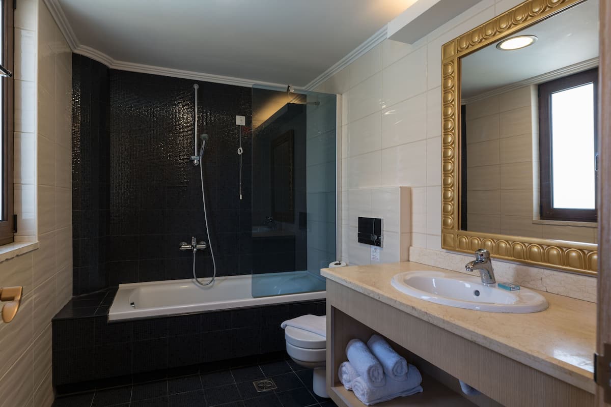 hair dryer, bathrobes, towels, soap