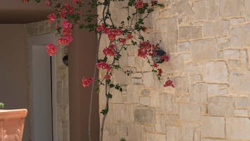 내부 세부 사진