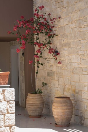 Détail de l’intérieur