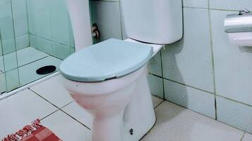 Secador de cabelo, toalhas de banho, sabonete, papel higiênico