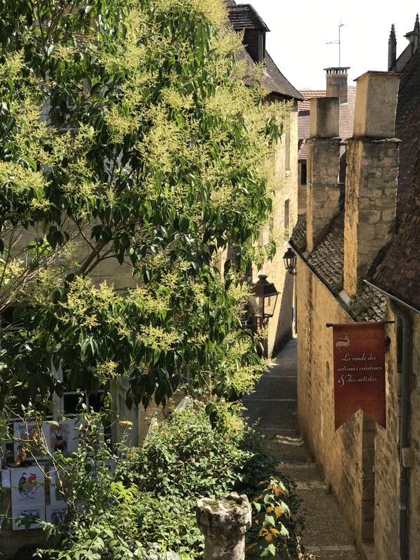 A narrow alley with stone buildings, a banner, and a tree with green foliage.