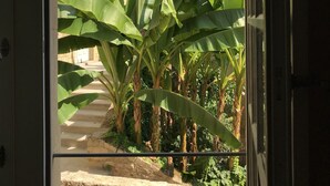 A view through a window of a stone building with large banana plants in the foreground.