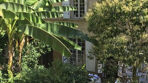 A stone building with a large window and a door, surrounded by lush greenery including banana plants and trees.