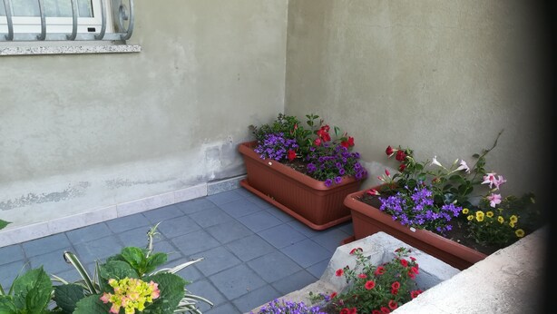 Courtyard - L Agrifoglio (Fonni)