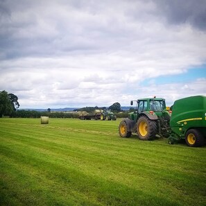 Utsikt fra overnattingsstedet