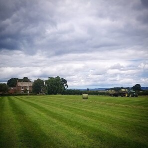 Blick auf die Umgebung