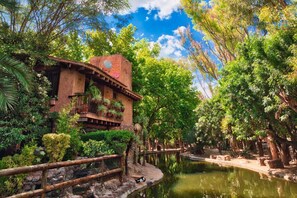 Property grounds - Unique big family adventure, great attractions included!!! (Cerro de San Pedro)