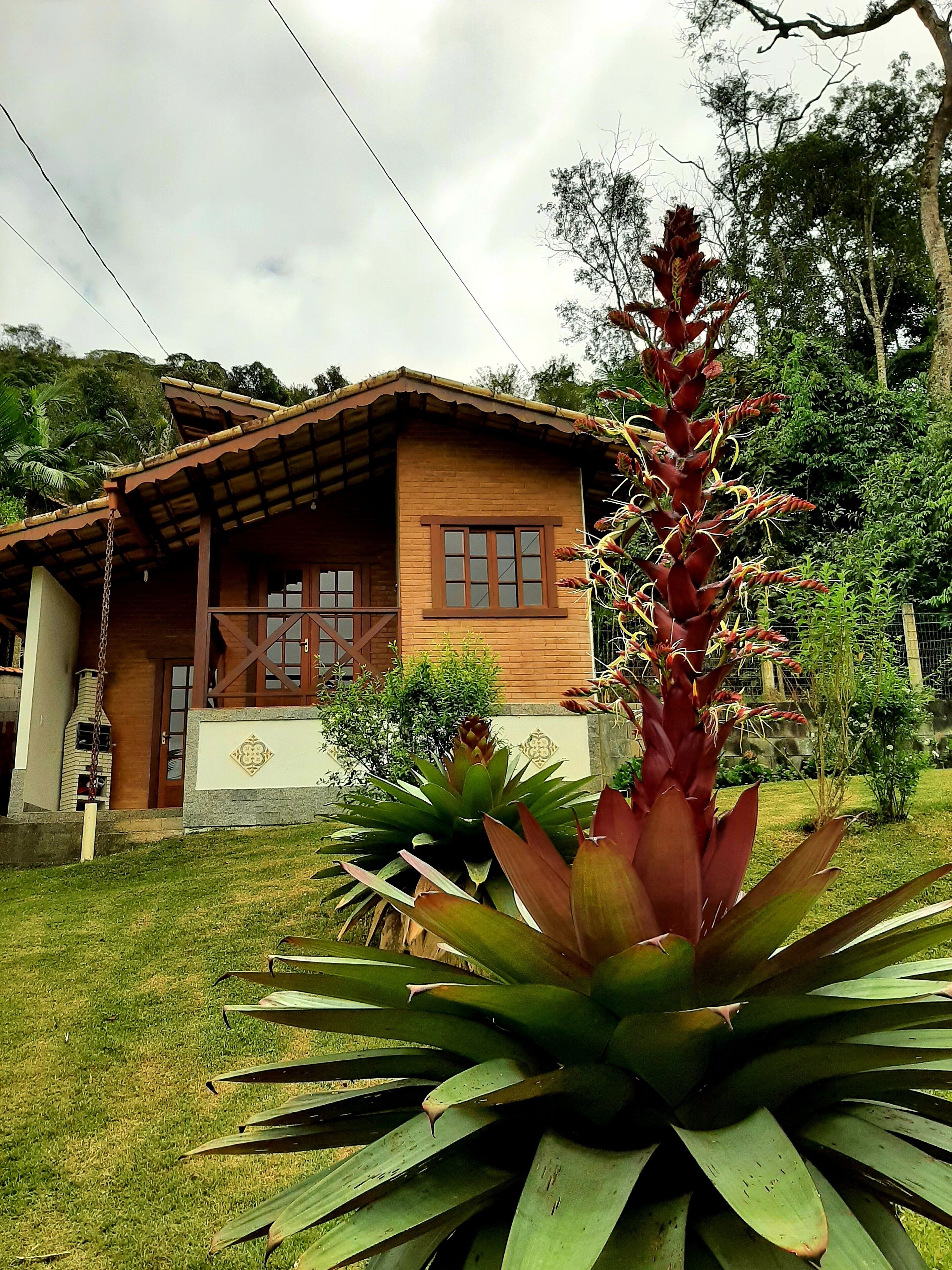Chalet Paraiso \/ private waterfall \/ bed linen and towels \/ Pet Friendly