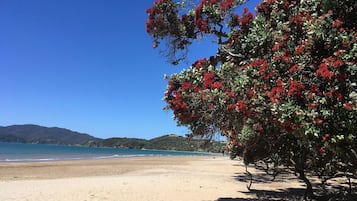 Playa en los alrededores
