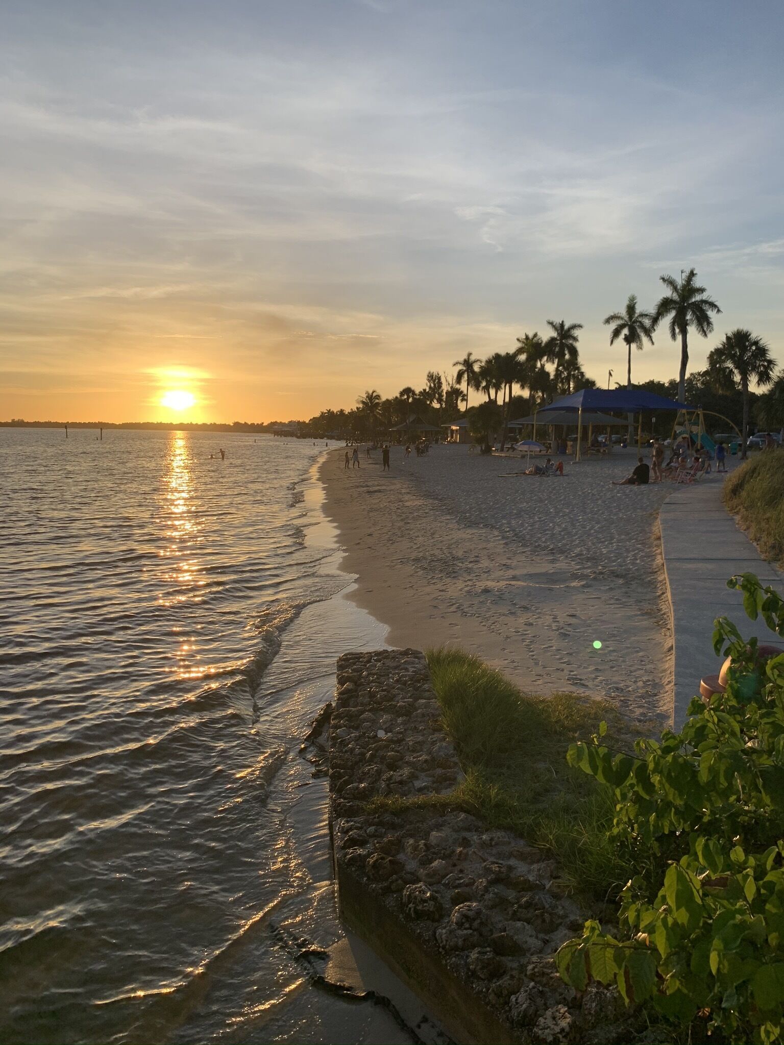 A beach scene with a sunset, palm trees, and a pathway along the shore.
