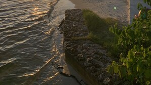 A beach scene with a sunset, palm trees, and a pathway along the shore. - Canelas Home, you’re Home away from Home (Cape Coral)