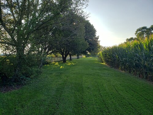Farmstay with pool and firepit