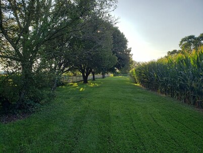 Farmstay with pool and firepit