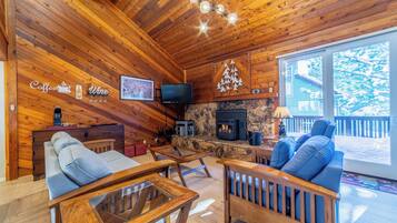 TV, fireplace, video games, DVD player