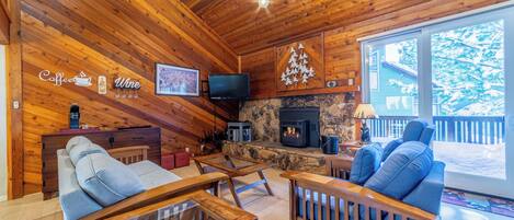 Televisor, llar de foc, videojocs i reproductor de DVD